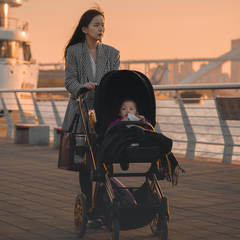 Collection image for: Baby Strollers
