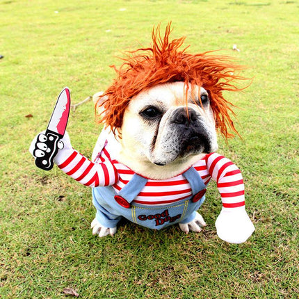 Funny Halloween Pet Costume: Dagger Pet Changing Clothes