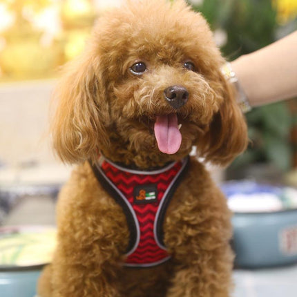 Reflective Stroke Prevention Pet Harness With Leash