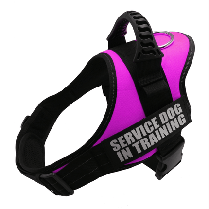 Explosafe Pet Leash: The Ultimate Safety Harness For Your Furry Friend
