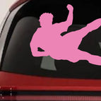 3in X 4.3in / Pink