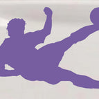 3in X 4.3in / Purple