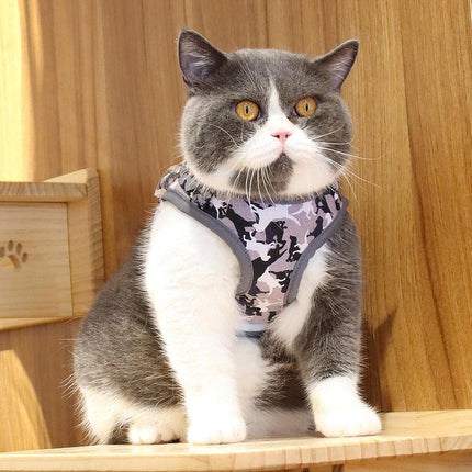 Reflective Adventure Pet Harness With Printed Leash