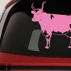 6in X 6.2in / Pink