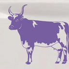 6in X 6.2in / Purple