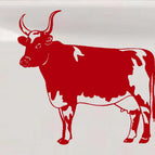 6in X 6.2in / Red