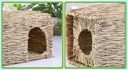 Pet Paradise Grass Haven