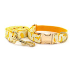 Yellow / L / Dog Leash Set