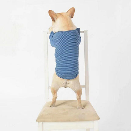 Whimsical Canine Couture: Stylish Casual Pet Clothes For Fashionable Pups