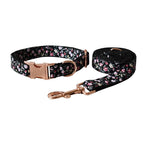 Dog Leash Set / S