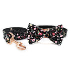 Bow Set / S