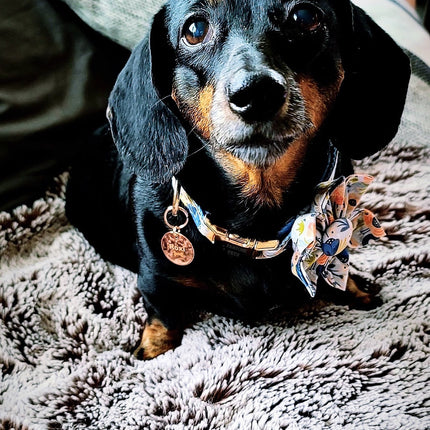 Black Pearl Floral collar & leash set