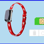 Sapphire Red Collar Flow Card / Usb