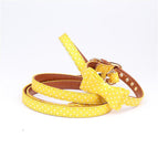 Yellow Set / Bowknot Collar 1.3X42Cm Adjus