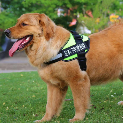 Ultimate Pet Adventure Chest Harness And Leash Set