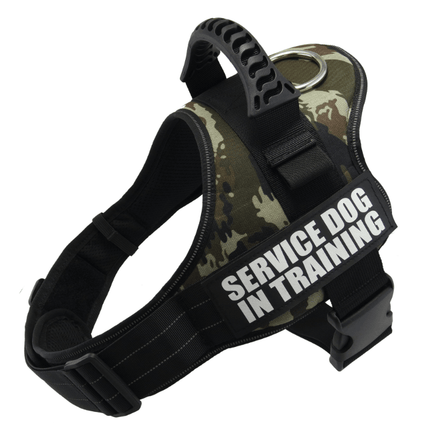 Explosafe Pet Leash: The Ultimate Safety Harness For Your Furry Friend