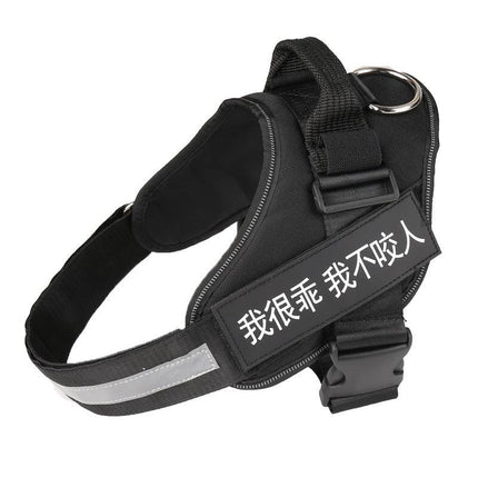 Ultimate Pet Adventure Set: Adjustable Chest Harness With Dog Leash