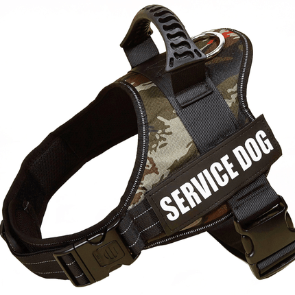 Explosafe Pet Leash: The Ultimate Safety Harness For Your Furry Friend