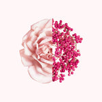 V3HAAC22B406C090608BE8CFC199168D959R6215014P3