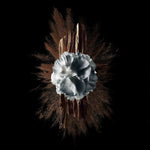 V4HD57BFFBA2AA917DD3D6BAA465CAA4794R5397790P5