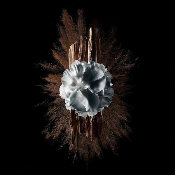 V4HD57BFFBA2AA917DD3D6BAA465CAA4794R5397790P5