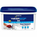 Silicone Bostik White