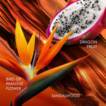 V3H68A311BD8D8E926A49EED6215D0B49CDR6240854P3