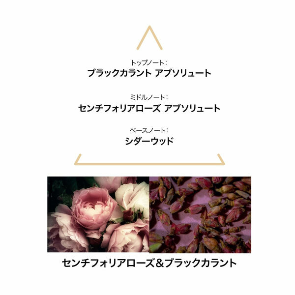 V6H7960B72503EE0C7A1D12830EBD9A166DR7186210P3