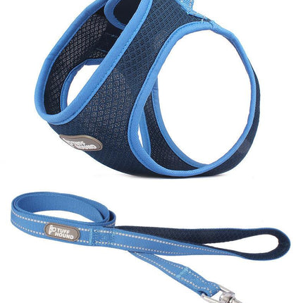 Pet Adventure Chest Harness And Leash Combo