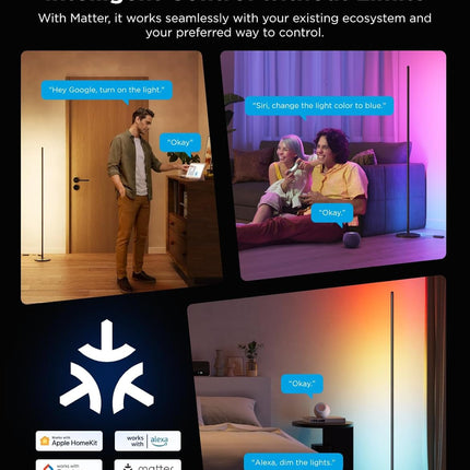 RGBIC Floor Lamp Smart 1000Lm With Voice Controlled Lighting