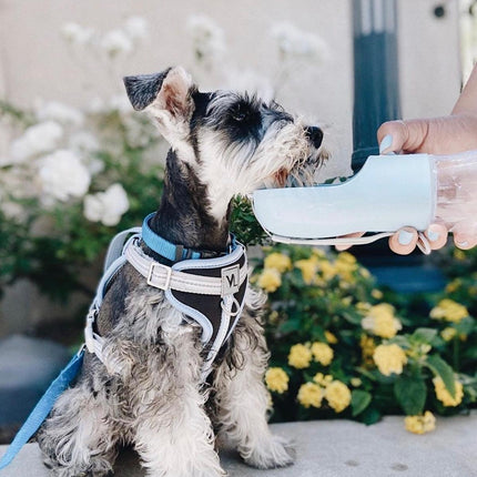 2 IN 1 PORTABLE PET FEEDER - BLUE
