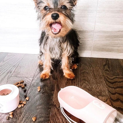 2 IN 1 PORTABLE PET FEEDER - PINK