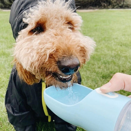 2 IN 1 PORTABLE PET FEEDER - BLUE