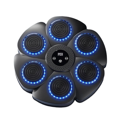 Musical Wall Boxing Target Training Machine