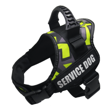 Explosafe Pet Leash: The Ultimate Safety Harness For Your Furry Friend