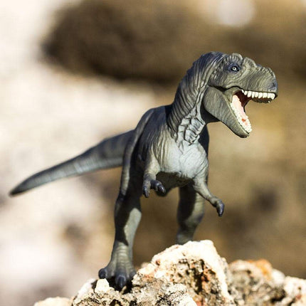 Tyrannosaurus Rex Action Figure