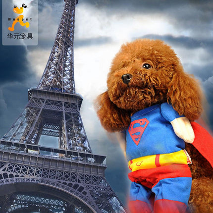 Pawsome Pet Couture: The Ultimate Dog Clothes Transformation