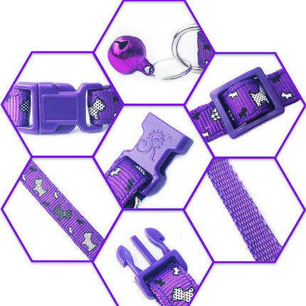 Pet Pals Feathered Friends Collar