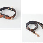 Yellow / Collar And Leash / 120X2Cm And 48X2Cm