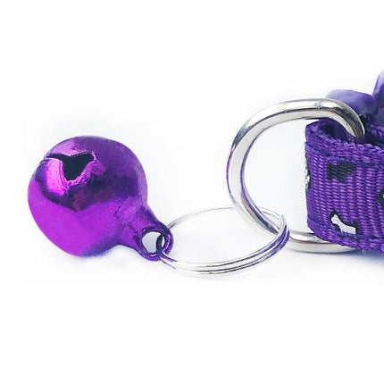 Pet Pals Feathered Friends Collar