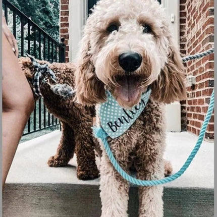 Luxe Royal Leather Rope Leash and Collar Set - Blumond