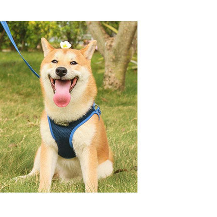 Pet Adventure Chest Harness And Leash Combo