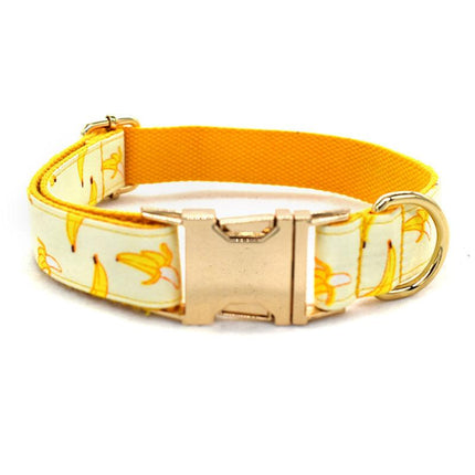 Fruitful Adventures Dog Leash Pet Collar