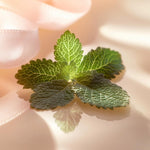 V2H78FDF58B04A23070DB23DD9D0BC1827FR7415529P4