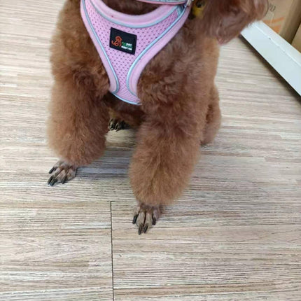 Reflective Stroke Prevention Pet Harness With Leash