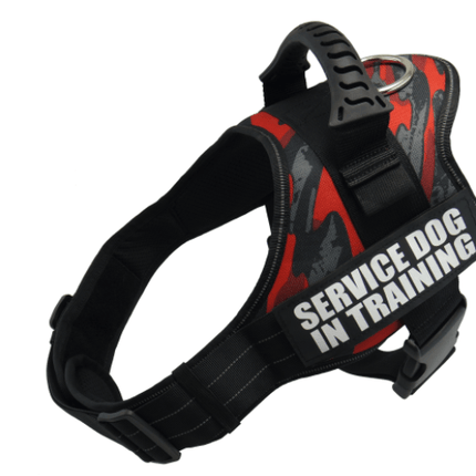 Explosafe Pet Leash: The Ultimate Safety Harness For Your Furry Friend
