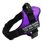 Purple / Xs
