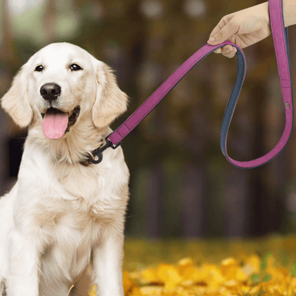 Premium Leather Dog Leash - Stylish And Durable Pet Traction Belt