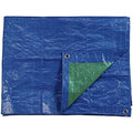 Awning EDM 74992 Blue Green 90 g/m² 4 x 5 m Double-sided
