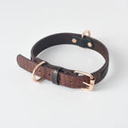 Coffee / Leash / 120X2Cm